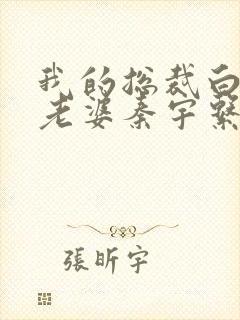 我的总裁白富美老婆秦宇系列小说