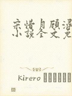 宋惜月顾浔渊的小说全文免费阅读