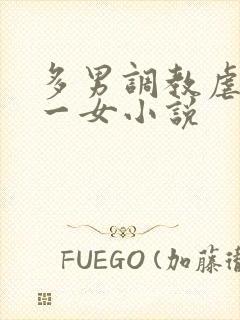 多男调教虐玩弄一女小说