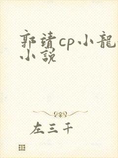 郭靖cp小龙女小说封面