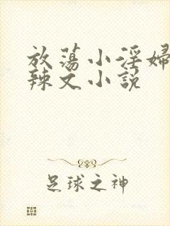 放荡小淫妇h肉辣文小说