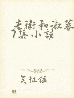 老卫和淑蓉1一7集小说