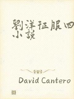 刘洋征服四部曲小说