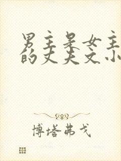 男主是女主姐姐的丈夫文小说封面