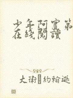 少年阿宾第二部在线阅读封面