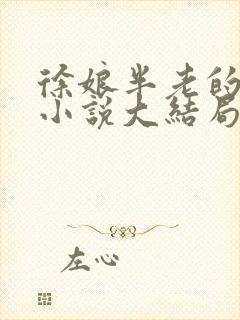 徐娘半老的销魂小说大结局免费阅读