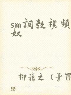 sm调教视频男奴