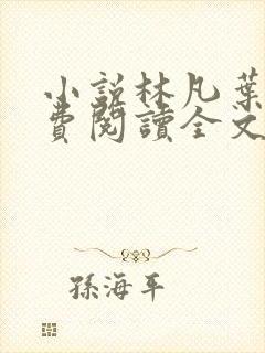 小说林凡叶惜免费阅读全文最新