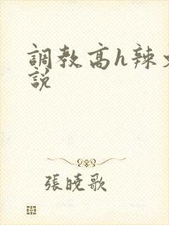 调教高h辣文小说封面