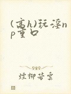 (高h)玩淫np重口封面