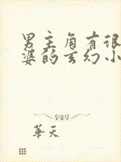 男主角有很多老婆的玄幻小说封面