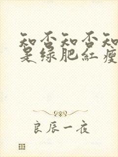 知否知否知否应是绿肥红瘦高清在线观看