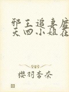 邪王追妻废材逆天四小姐在线阅读封面