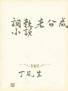 调教老公成绿奴小说封面