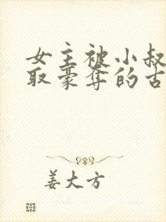 女主被小叔子强取豪夺的古言