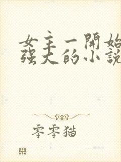 女主一开始就很强大的小说