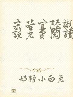 宋若宜陆识彦小说免费阅读最新章节封面