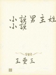 小说男主姓顾的小说