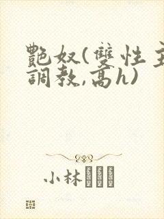 艳奴(双性主奴调教,高h)