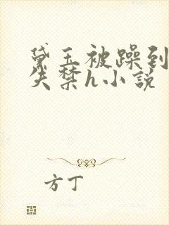 黛玉被躁到高潮失禁h小说