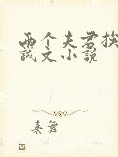 两个夫君挨打训诫文小说