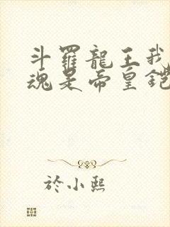 斗罗龙王我的武魂是帝皇铠甲免费阅读