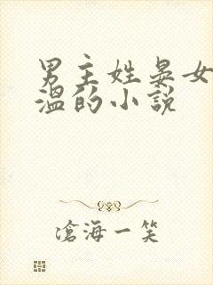 男主姓晏女主姓温的小说