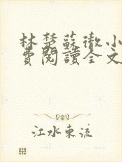 林楚苏彻小说免费阅读全文最新章节