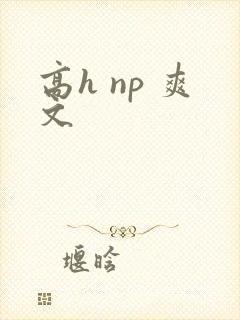 高h np 爽文