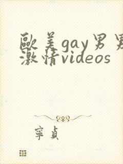 欧美gay男男激情videos