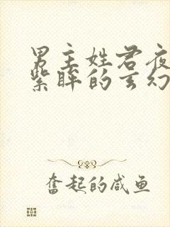 男主姓君夜宸有紫眸的玄幻小说