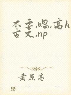 不要,嗯,高h古文,np