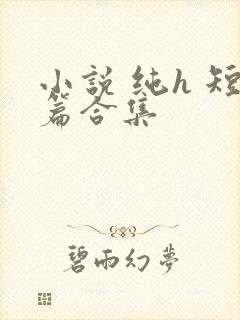 小说 纯h 短篇合集封面