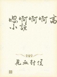嗯啊啊啊高潮操小说封面