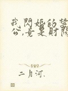 我闪婚的禁欲老公,竟是财阀大佬