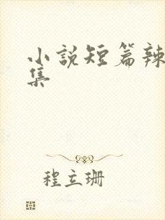 小说短篇辣文合集