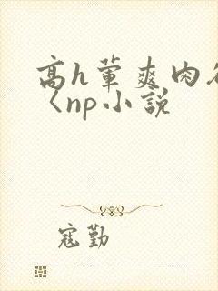 高h荤爽肉欲文〈np小说