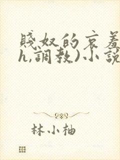 贱奴的哀羞(高h,调教)小说