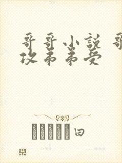 哥哥小说 哥哥攻弟弟受封面