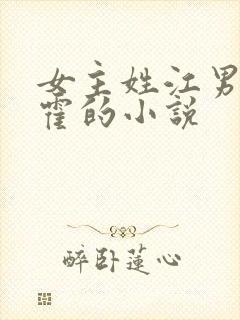 女主姓江男主姓霍的小说