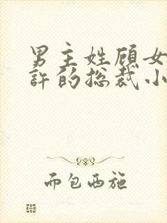 男主姓顾女主姓许的总裁小说封面