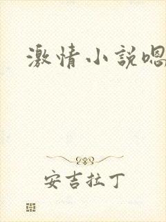 激情小说嗯啊