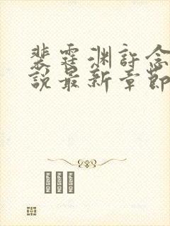 裴霆渊许念笙小说最新章节免费阅读