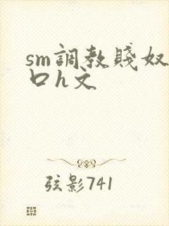 sm调教贱奴重口h文封面