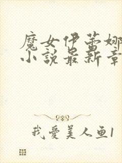 魔女伊蕾娜恶堕小说最新章节更新内