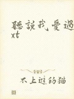 听说我爱过你txt