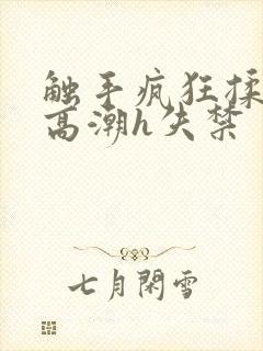 触手疯狂揉肉蒂高潮h失禁