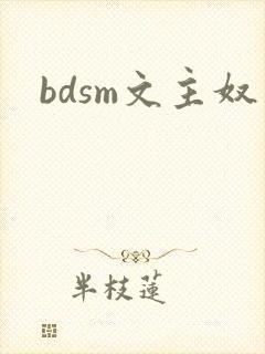 bdsm文主奴