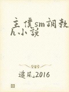 主仆sm调教高h小说