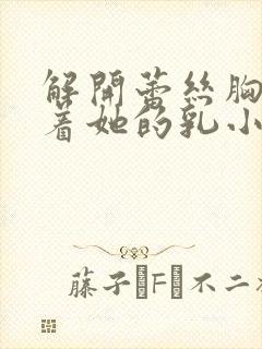 解开蕾丝胸罩揉着她的乳小说封面